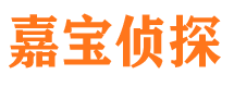 潘集市调查公司